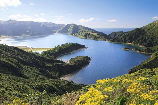 São Miguel Island Whale Watching and Lagoa Do Fogo Day Trip  - São Miguel - Tour Overview