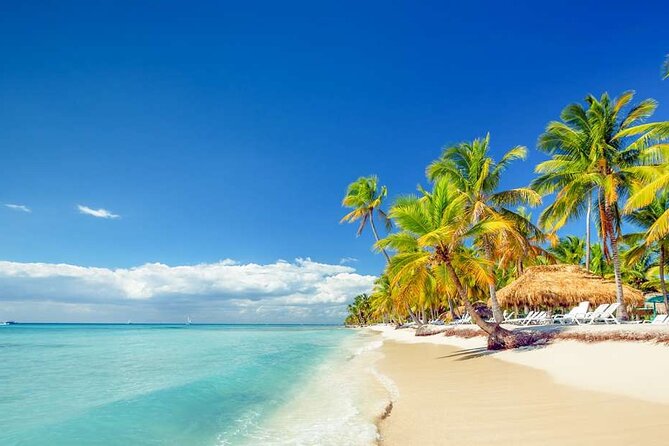 Saona Island and Snorkeling From Punta Cana - Traveler Photos
