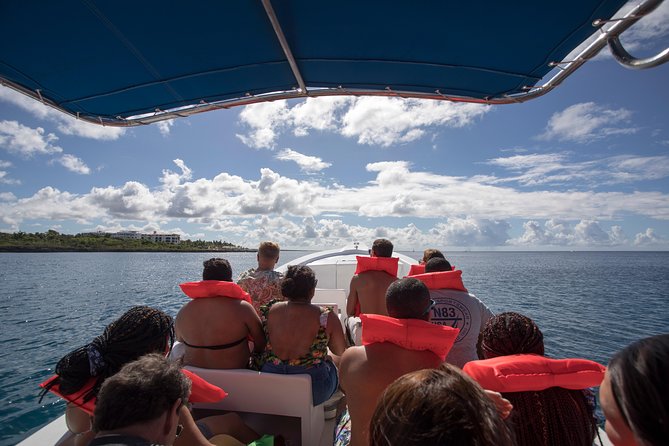 Saona Island Day Trip From Punta Cana With Lunch and Open Bar Included - The Sum Up