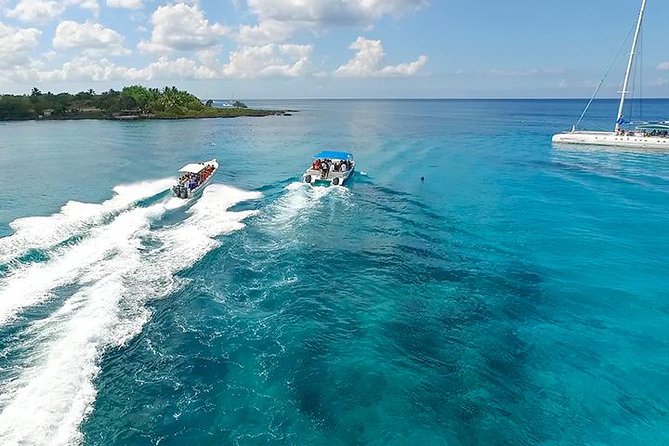 Saona Island Excursion From Bayahibe - Positive Experiences