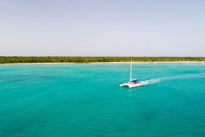 Saona Island Full-Day Tour With Lunch From Punta Cana - Traveler Photos and Reviews