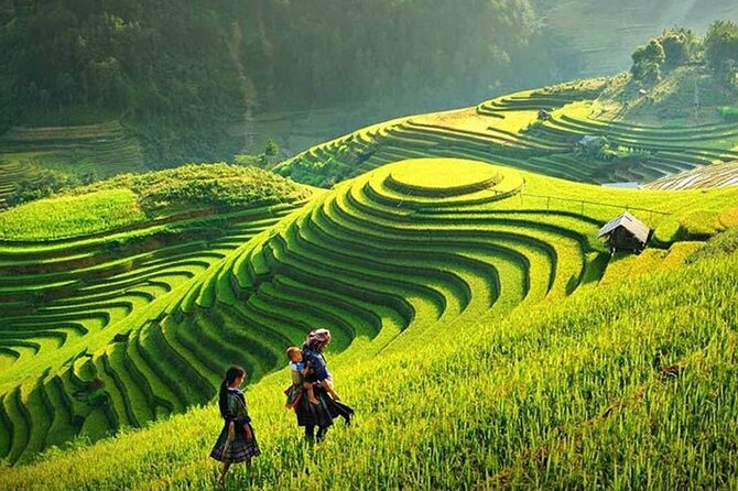 Sapa 3 Days Trek With 2 Nights Homestay - Homestay Experience and Accommodations