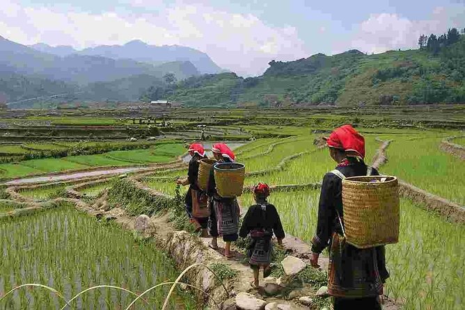 Sapa Private Trekking Through Rice Terraced Fields - 1Day - Overview of the Experience