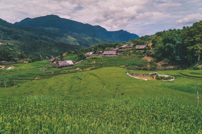 Sapa Trekking Tour With Local Full Package by Bus 4N3D - Local Guide and Cultural Immersion
