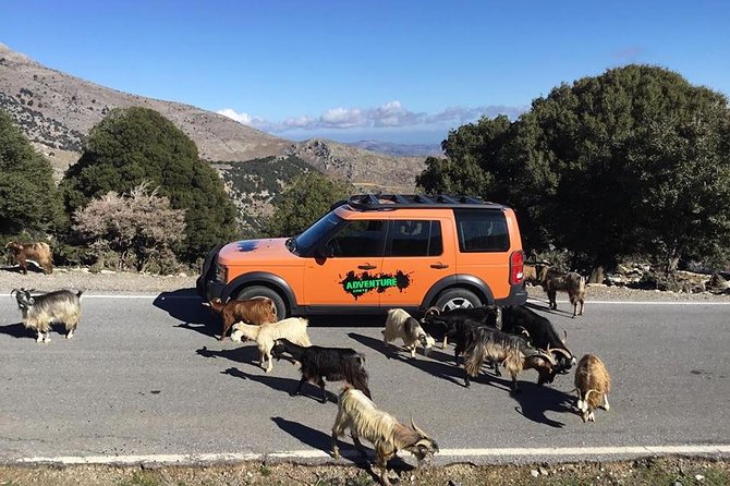 Sarakina Gorge & High Mountains & South Coast & (Luxury Adventure) - Meeting and Pickup
