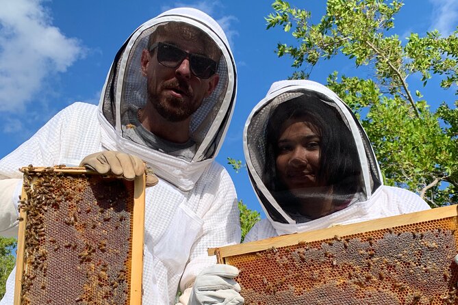 Savannah Small-Group Beekeeping Tour  - Grand Cayman - Queen Rearing and Apiary Design