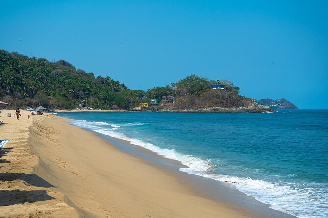 Sayulita And San Pancho Beachs Tour - Traveler Reviews
