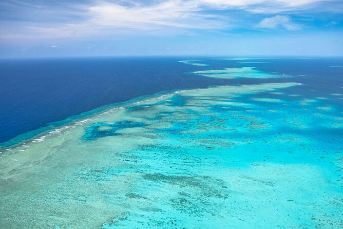 Scenic Barrier Reef Private Helicopter Flight  - Cairns & the Tropical North - Fly Over Green Islands Unique Forest Canopy