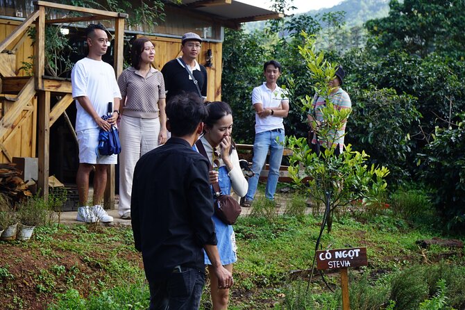 Scented Candle Workshop in Twin Beans Farm Da Lat - Meeting and Pickup