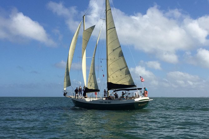 Schooner Clearwater- Afternoon Sailing Cruise-Clearwater Beach - What To Expect