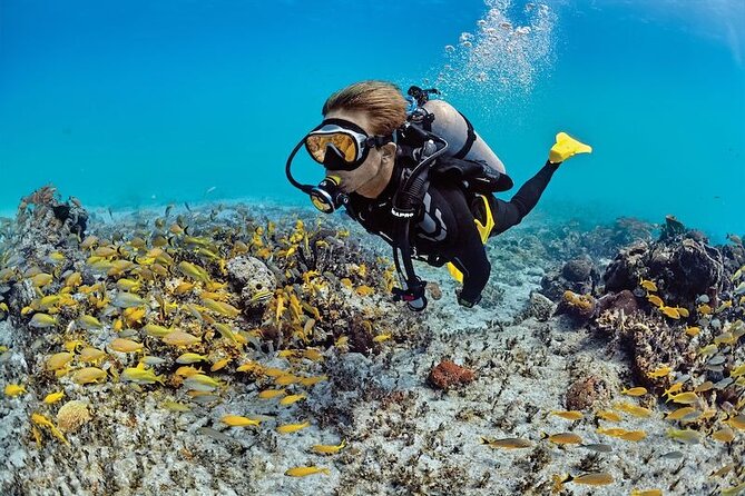 Scuba Diving Adventure in Dubai - Selecting Date and Travelers