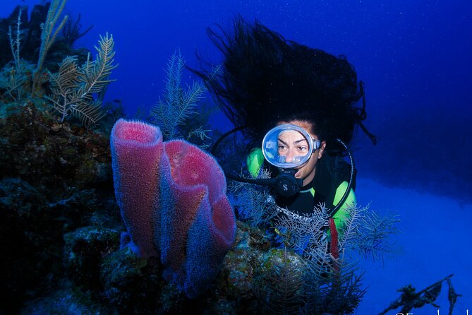 SCUBA Diving Adventure in Mahahual, SCUBA Gear Included - Additional Information and Requirements