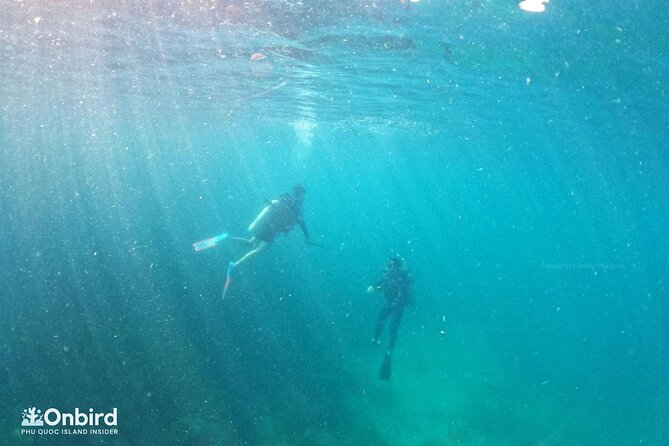 Scuba Diving for Certified Divers in Phu Quoc Island - Equipment and Safety Tips for Certified Divers