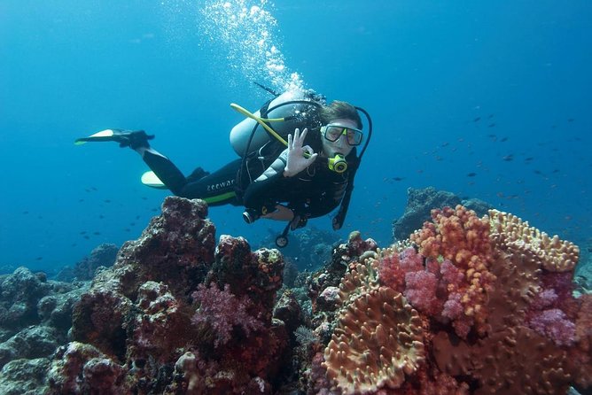 Scuba Diving From Antalya - Booking and Cancellation Policy