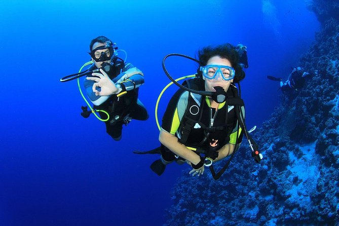 Scuba Diving From Bodrum - Booking and Flexibility