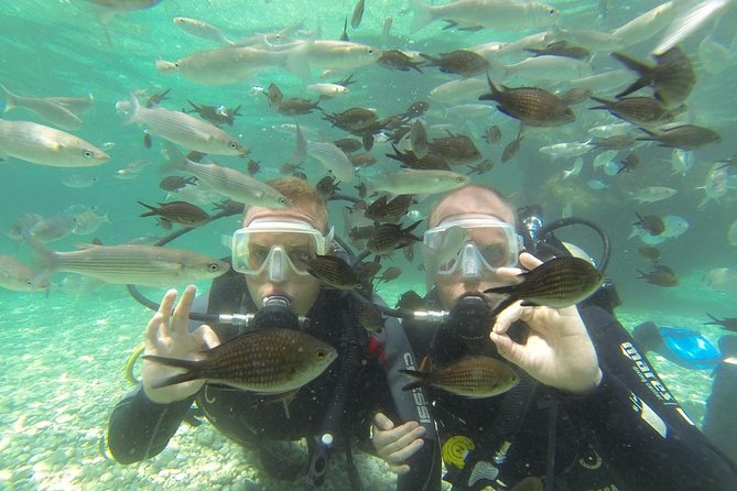 Scuba Diving From Fethiye - Inclusions in the Tour