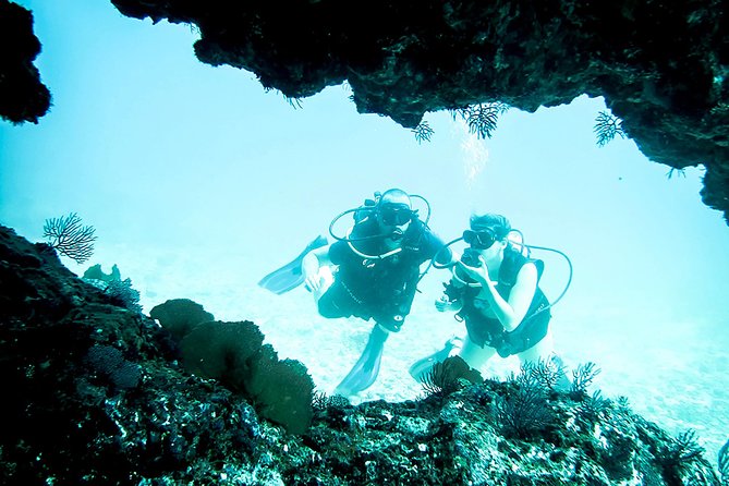 Scuba Diving Marietas Islands - Scuba Diving and Snorkeling Experience