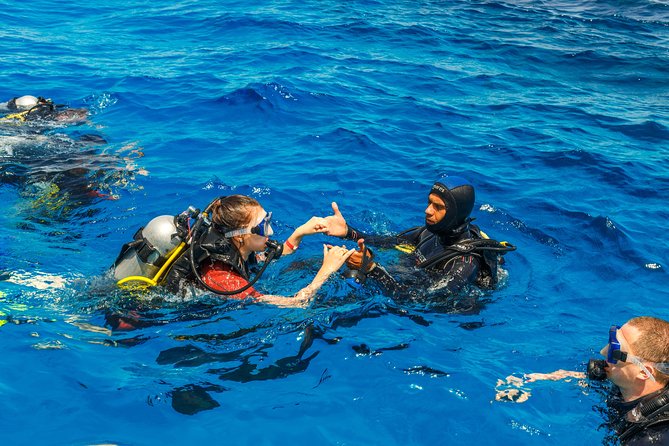 Scuba Diving Tour in Bodrum - Diving Locations and Marine Life