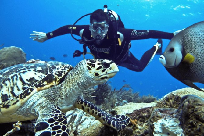 Scuba Diving Tour - Certified Instructors for Beginners