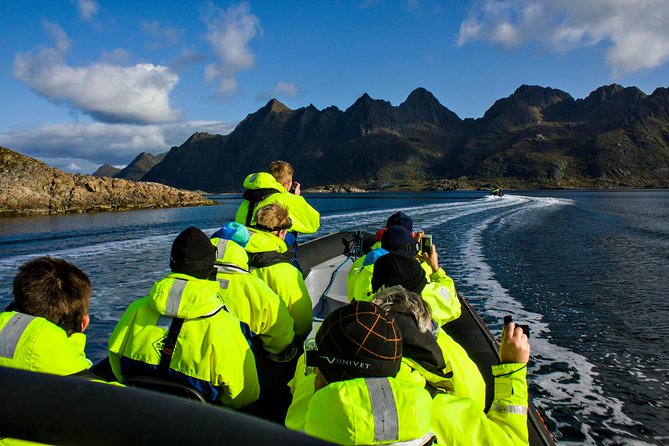 Sea Eagle Safari From Svolvær to Trollfjorden - End Point and Cancellation Policy