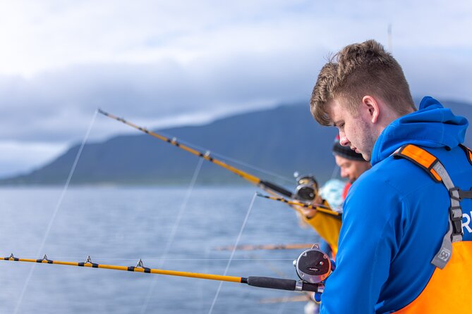 Sea Fishing Experience From Reykjavik - Whats Included in the Fishing Trip