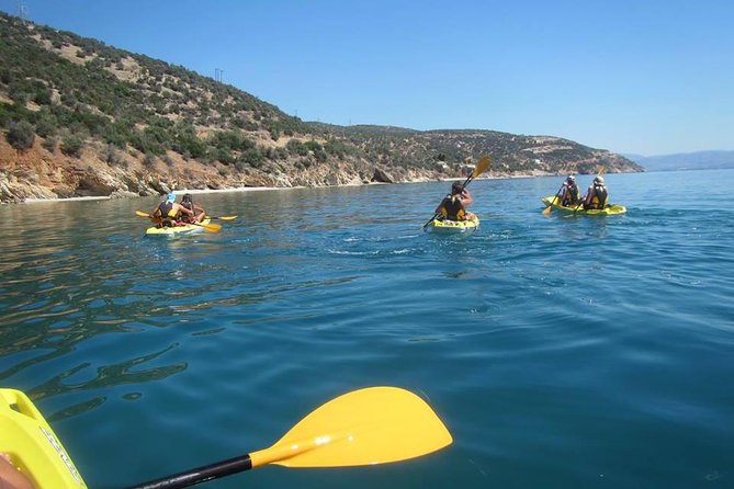 Sea Kayak in Astros - Pricing and Group Size