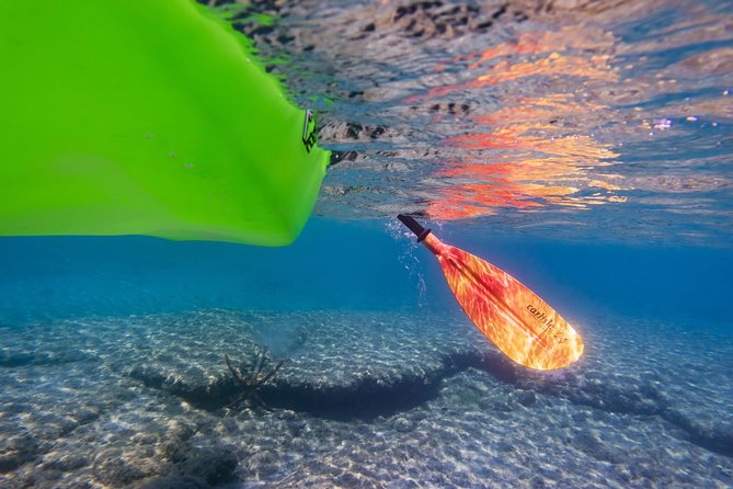 Sea Kayak Rentals - Activity Overview