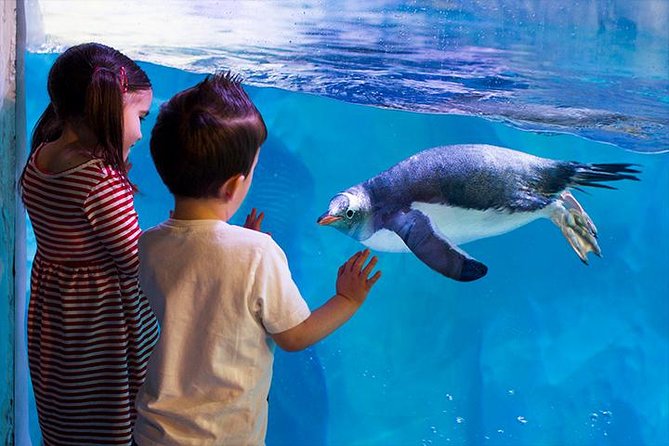 SEA LIFE Birmingham Admission Ticket - Overview of the National SEA LIFE Centre
