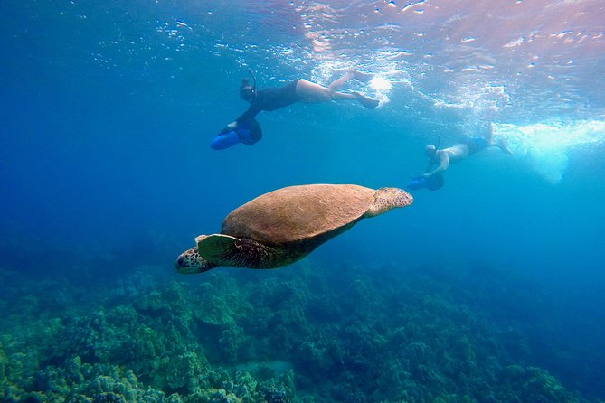 Sea Scooter Snorkeling Tour - Polo Beach - Inclusions and Meeting Details