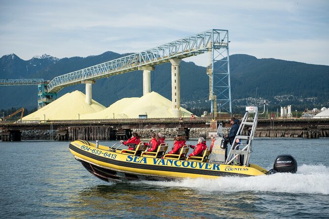 Sea Vancouver City & Nature Tour - Sea Lion Colony at Lighthouse Park