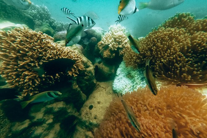 Sea Walking Nha Trang - Exploring the Underwater World in Nha Trang