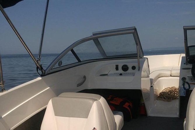 Seal Watch Boat Tours - Pictou NS - Traveler Reviews