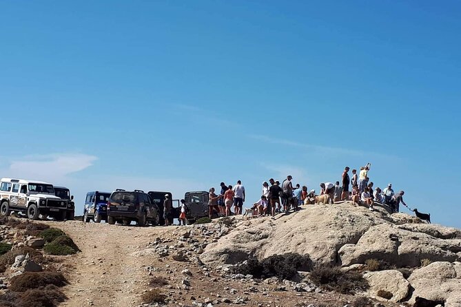 Secrets of the Southern Crete Safari Tour - Vultures and the Kavousi Gorge
