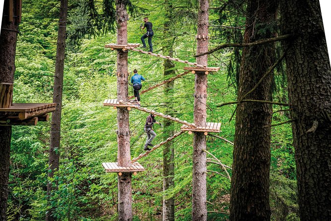 Seilpark High-Ropes Adventure Park Admission in Interlaken - Reasons to Choose This Tour