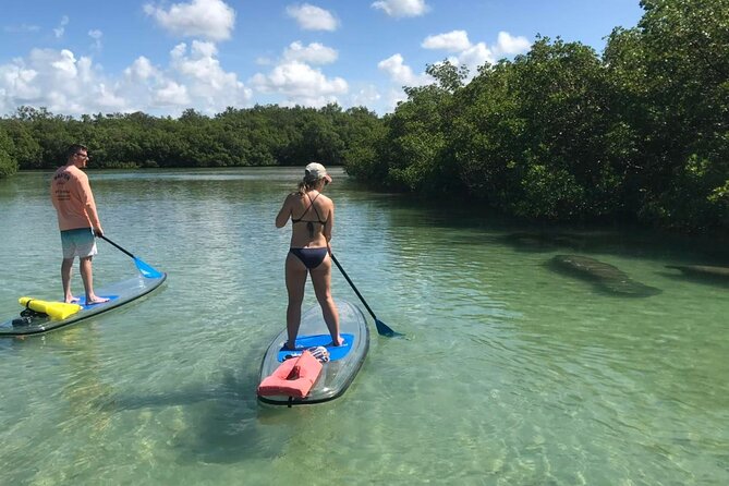 Self-Guided Island Tour - CLEAR or Standard Kayak or Board - Bonita Springs - Overview and Inclusions
