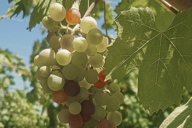 Semi-Private Heraklion Wine Country Tour - Booking and Flexibility