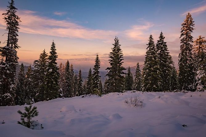 Sequoia National Park Adventure From Tulare - Pickup and Transportation
