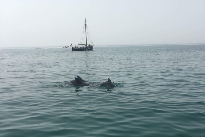 Setubal Portugal Sightseeing Boat Tour With Dolphins  - Setubal District - Additional Information and Policies