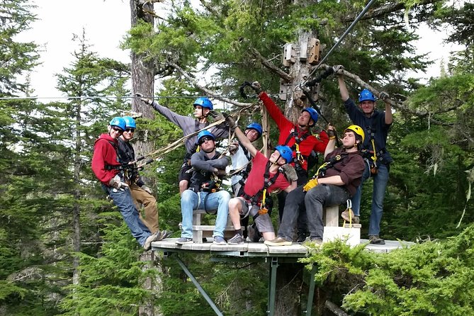 Seward Alaska Small-Group Ziplining Experience in Nature - Cancellation Policy