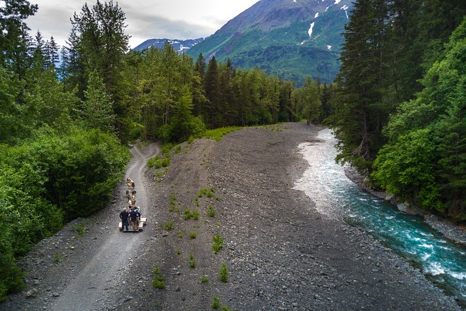 Seward and Kenai Fjords National Park Guided Tour With Lunch - Traveler Photos and Reviews