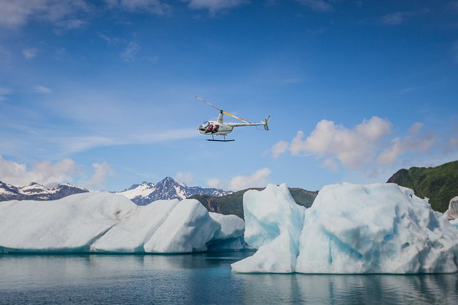 Seward to Kenai Fjords and Chugach Forest: 1-Hour Flight Tour - Fly Over Bear Glacier in Resurrection Bay
