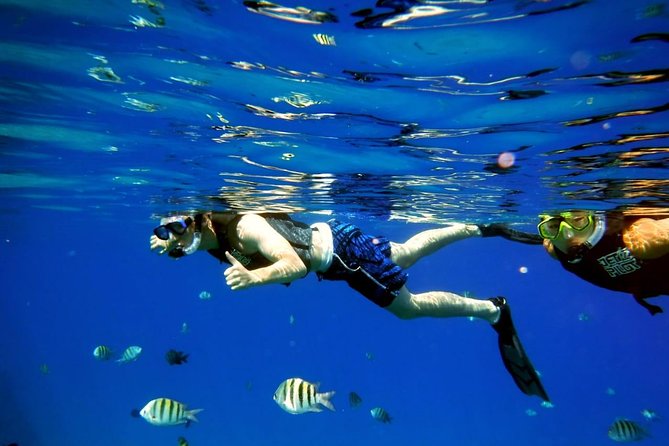 Shared 2 Hours Sosúa Bay Snorkeling With Professional Guide - Cancellation Policy