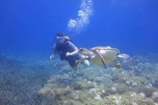 Shared Scuba Diving Under Water Museum - Marine Life and Coral Conservation