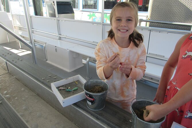 Shark Teeth and Shells, Dolphin and Shelling Tour Boat Clearwater Beach - Unique Shelling Boat Experience