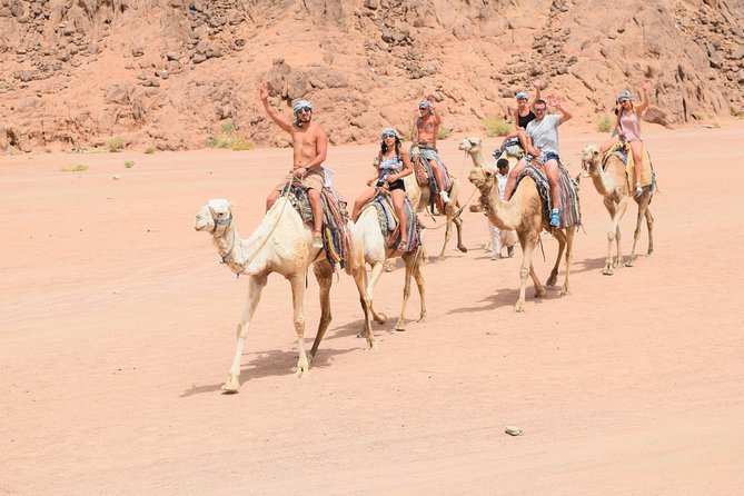 Sharm El Sheikh Desert Adventure (5X1) - Traveler Photos