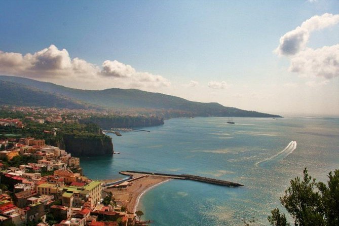 Shore Excursion From Naples to Sorrento, Positano, and Pompeii - Stops at Sorrento and Positano