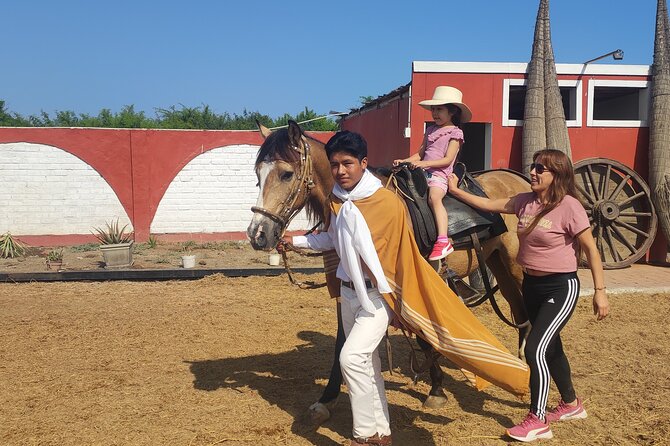 Shore Excursion From Salaverry Marinera & City Tour in Trujillo - Booking and Pricing Information