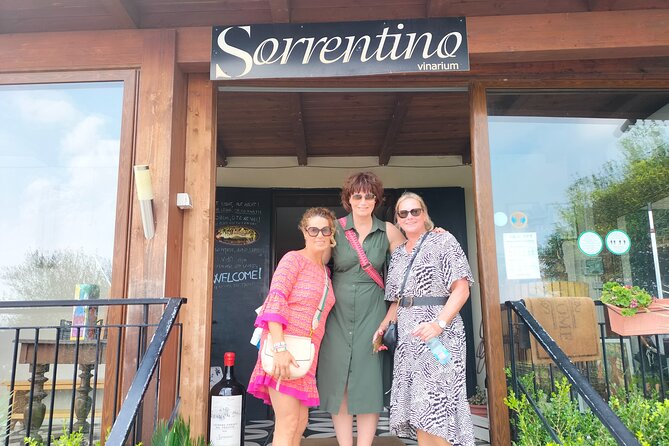 Shore Excursion Naples City Tour, Pompeii & Winery Cantina Del Vesuvio - Overview and Inclusions of the Tour