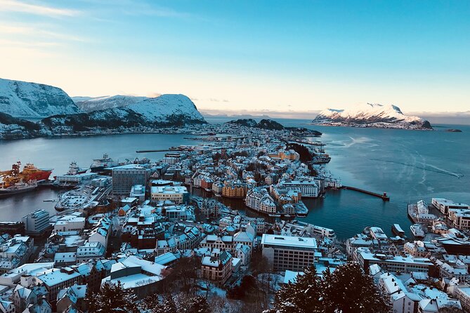 Shore Excursions Ålesund: Highlights Ålesund & Islands - Positive Experiences and Feedback