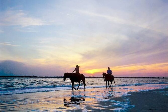 Side Horse Riding On Beach And Through The Forests For 2 Hours - Riding Through the Forests on Horseback